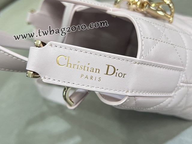 Dior专柜2025新款迪奥高仿原单Toujours竖版手袋牛皮休闲手提女包 djfk1301